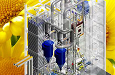 向日(rì)葵籽的(de)清選與加工(gōng)